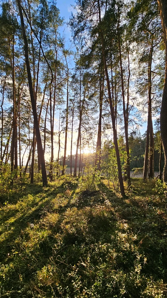 Zdjęcie dodane przez Sebastian