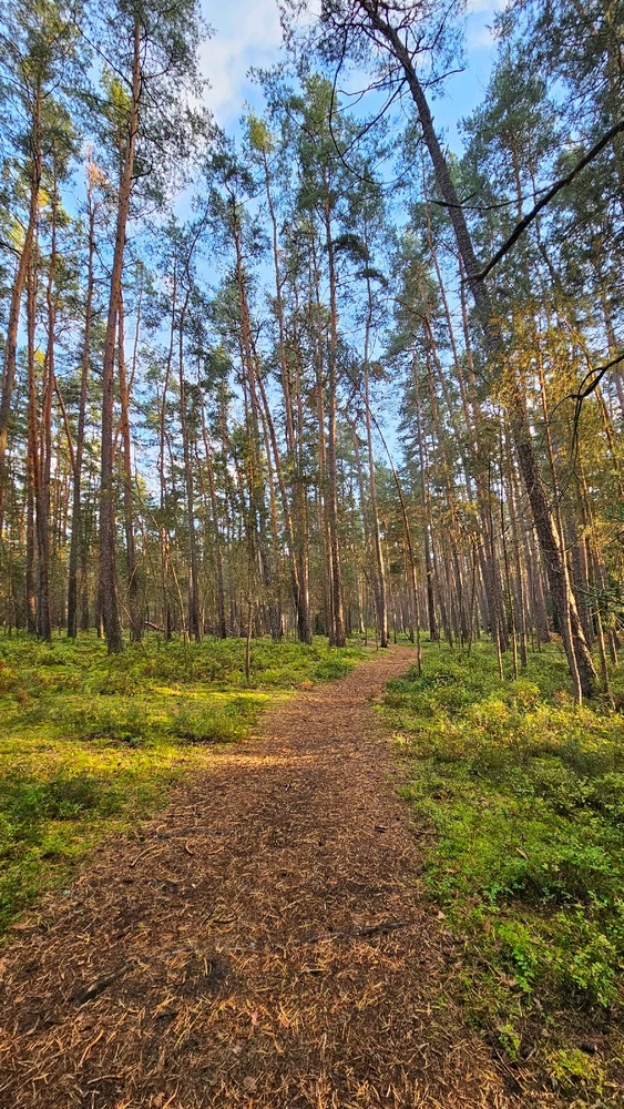 Zdjęcie dodane przez Sebastian