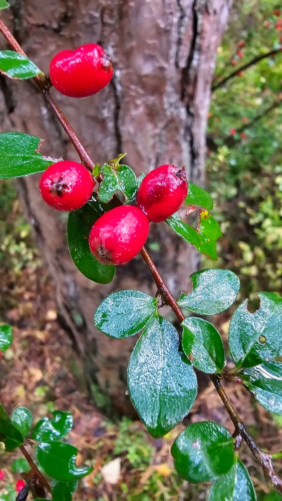 Zdjęcie dodane przez Sebastian