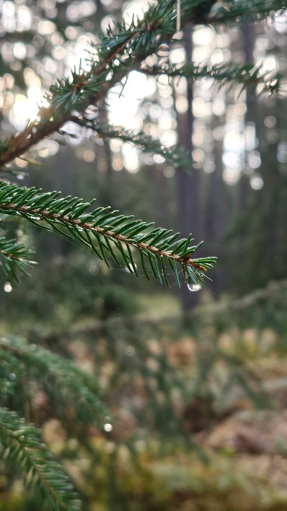 Zdjęcie dodane przez Sebastian