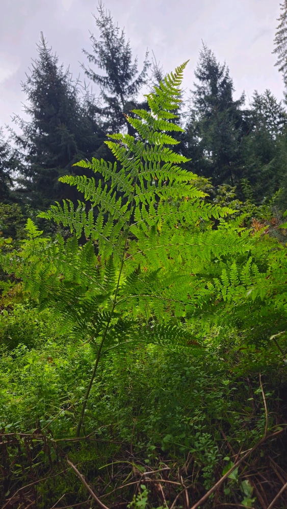 Zdjęcie dodane przez Sebastian