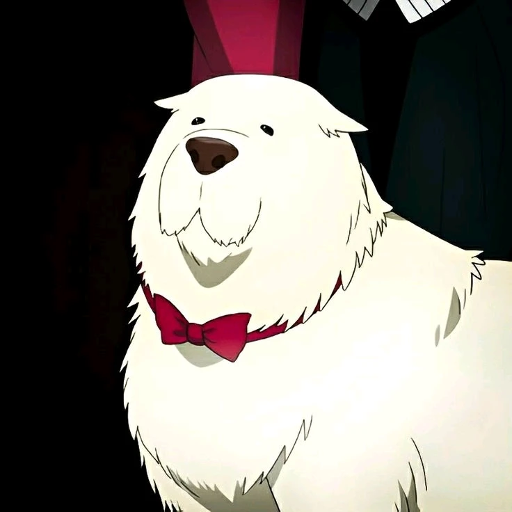 Image uploaded by 𝓢𝓮𝓻𝓮𝓷 • 𝓢𝓮𝓻𝓮𝓷𝓭𝓲𝓹𝓲𝓽𝔂