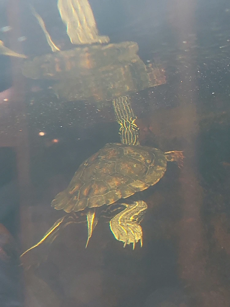 GIF uploaded by Jonathan