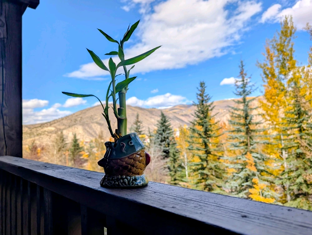 GIF uploaded by Shala