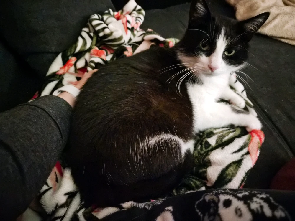 GIF hochgeladen von Jasmin