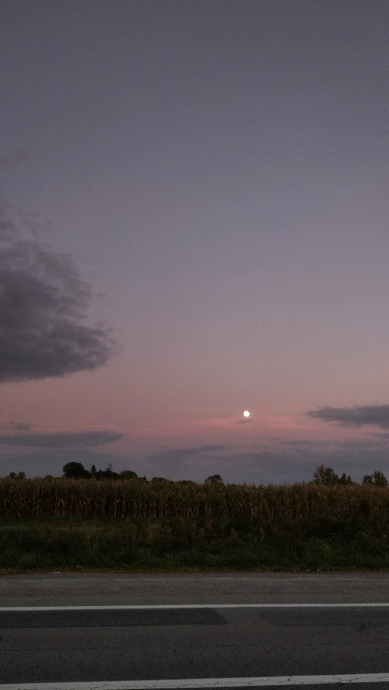 Dans une autre vie..