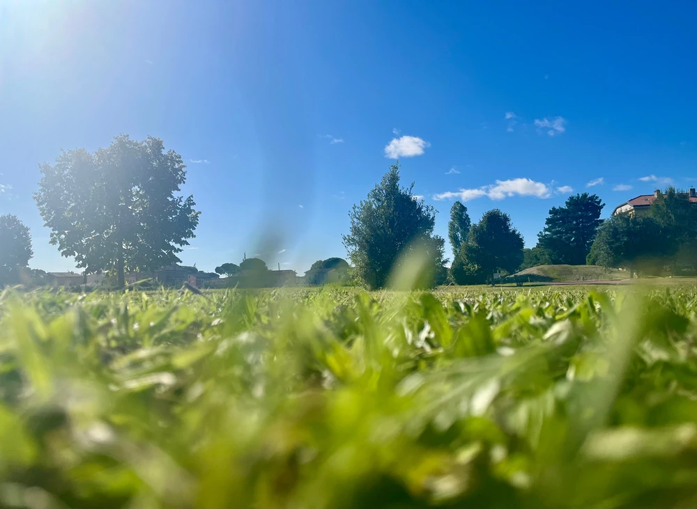 Immagine caricata da Simone