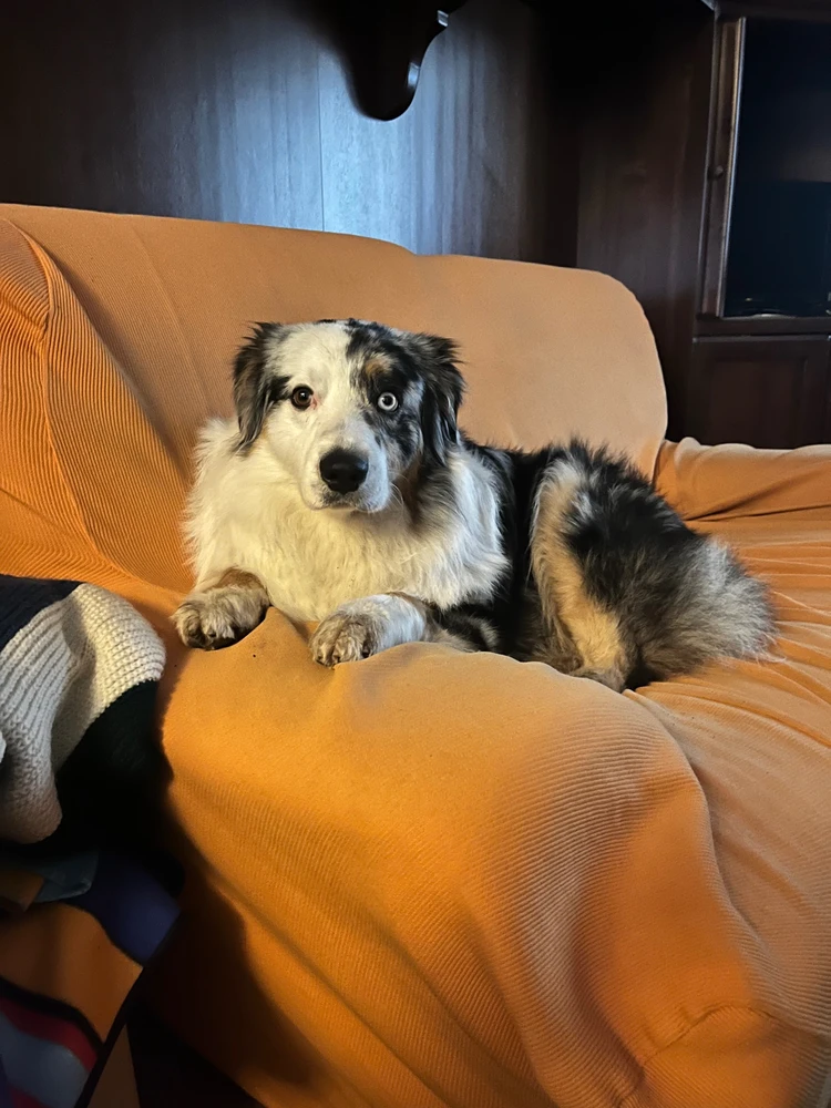 GIF caricata da Giulio