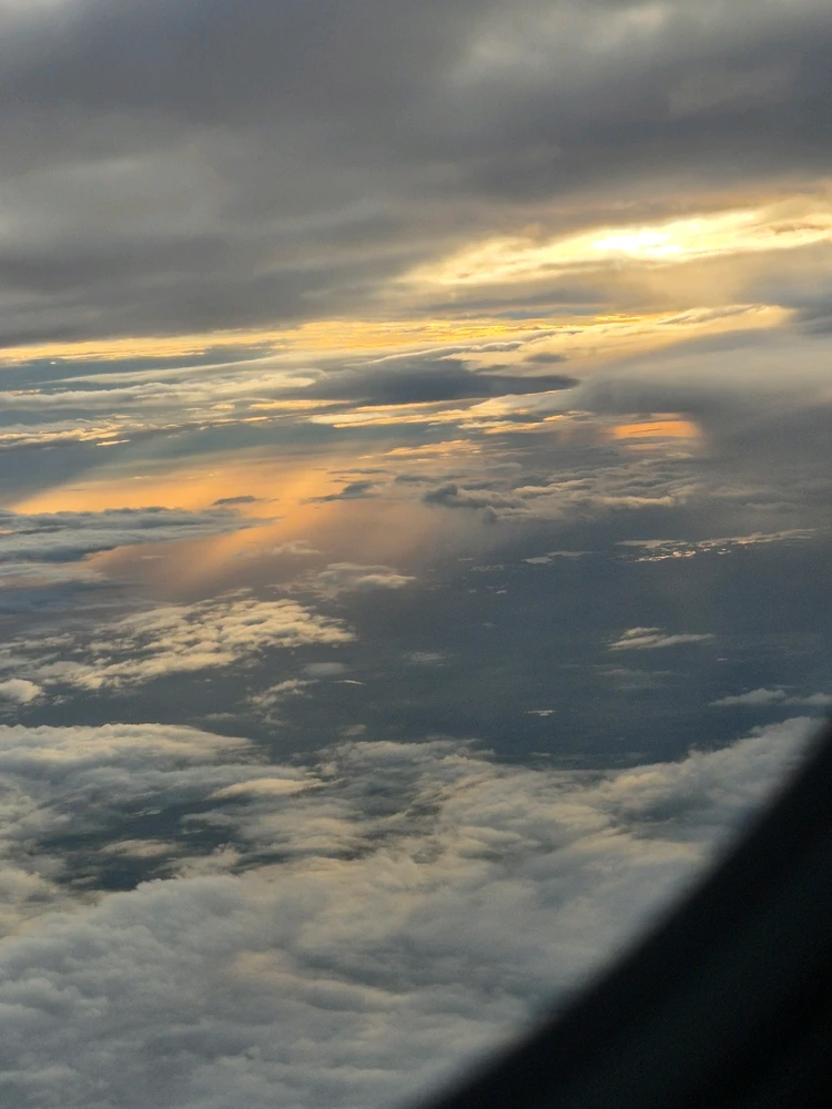 Image uploaded by Zion