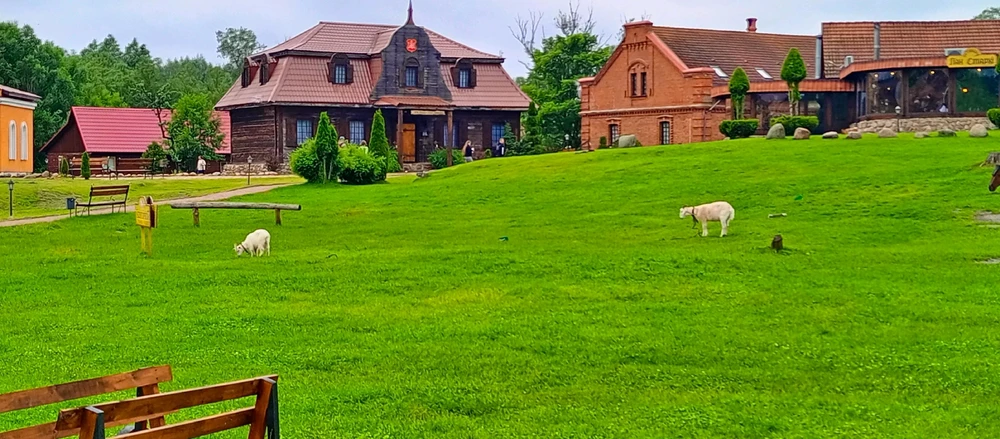 Выява загружана Дима