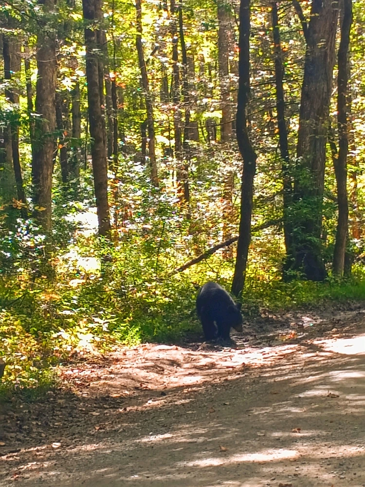 Went camping for the first time in a minute