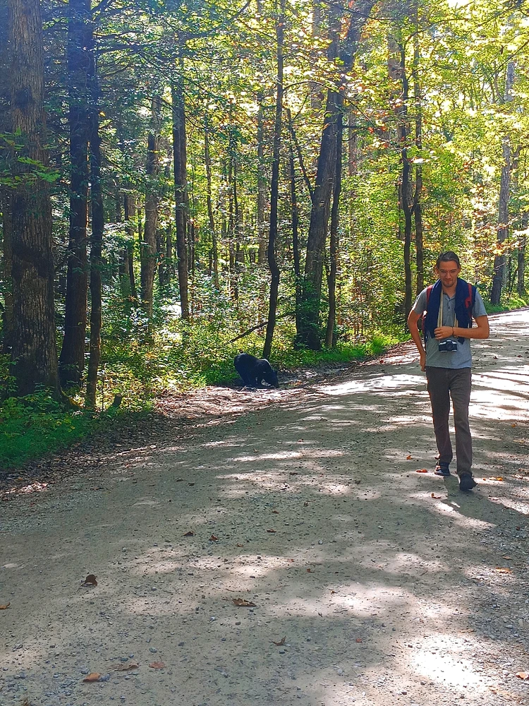 Went camping for the first time in a minute