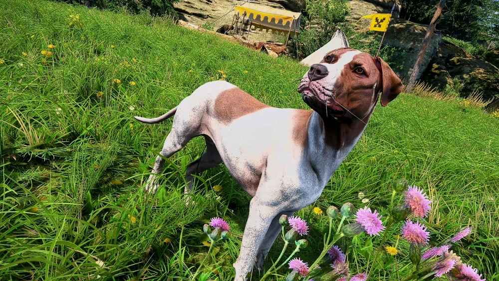 GIF uploaded by Jeremy McNeely