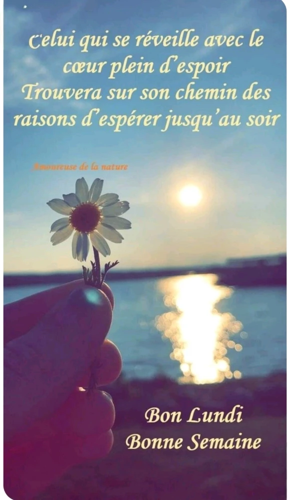 Un coucou du matin 🙋🌸