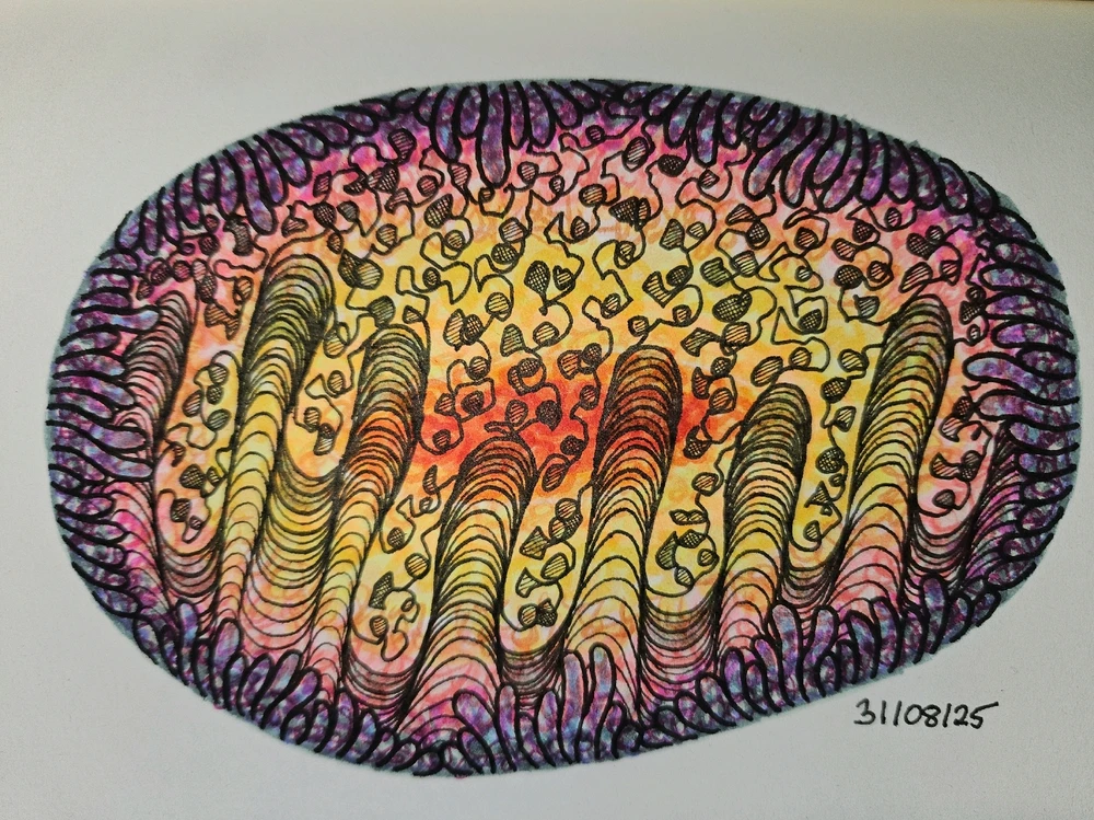 Image uploaded by Cato