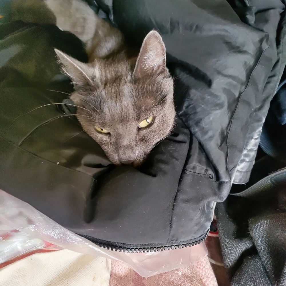 Image uploaded by Sofija