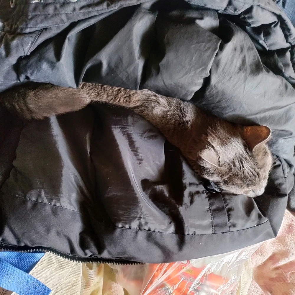 Image uploaded by Sofija