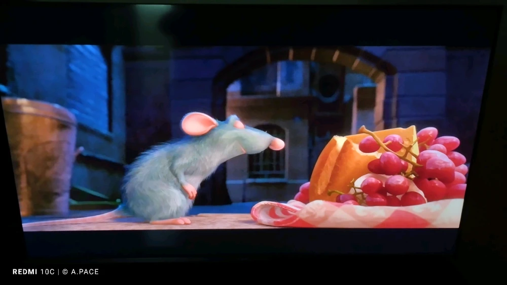 Immagine caricata da Alessandro | alpacigno