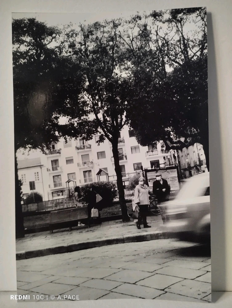 Immagine caricata da Alessandro | alpacigno