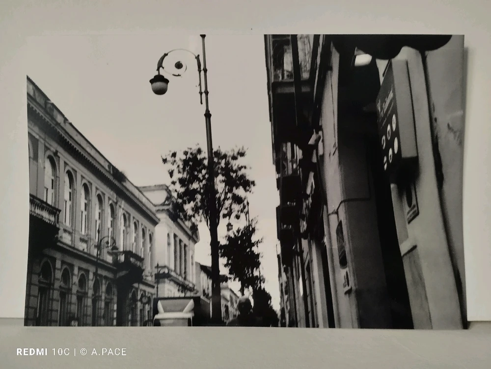 Immagine caricata da Alessandro | alpacigno