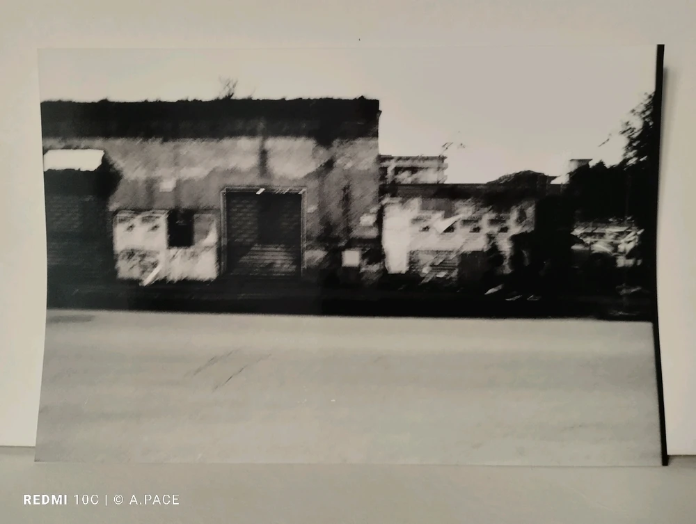 Immagine caricata da Alessandro | alpacigno