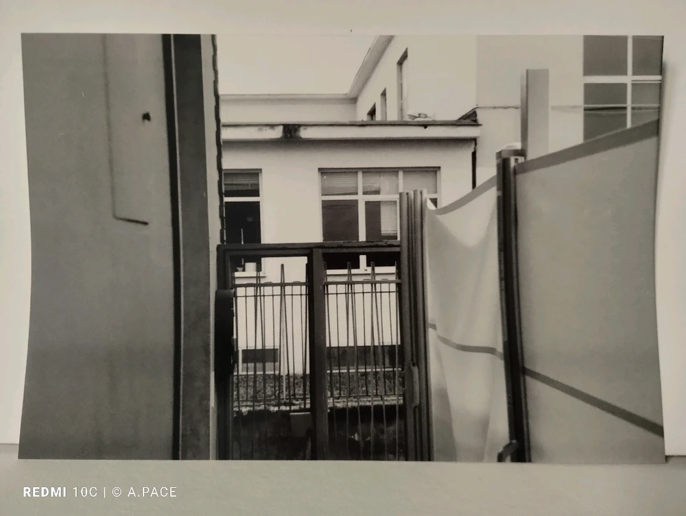 Immagine caricata da Alessandro | alpacigno