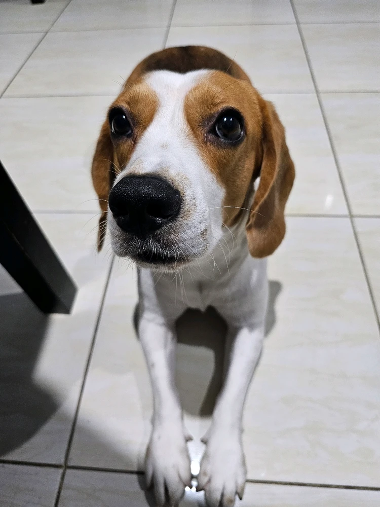 GIF uploaded by Nia