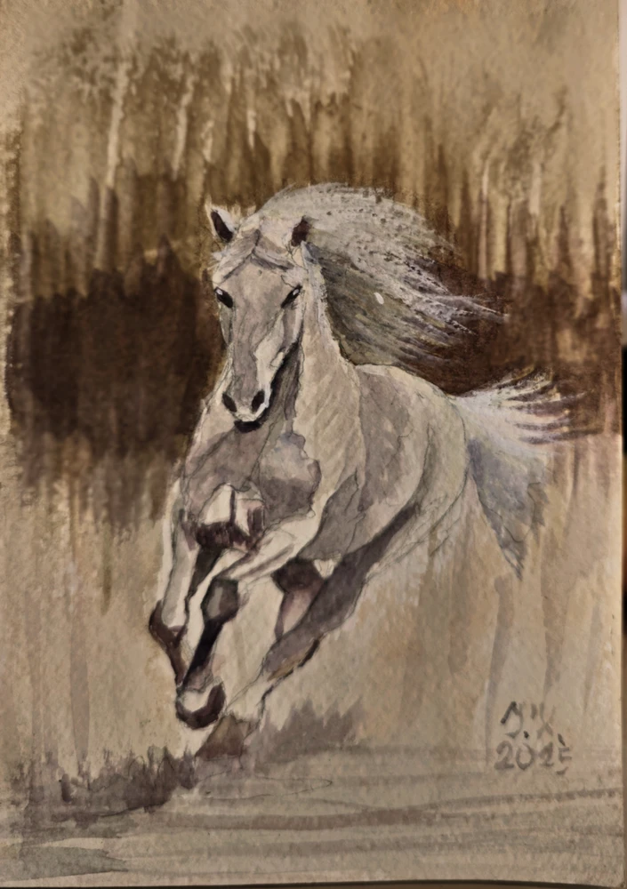 Sliko je naložil Igor