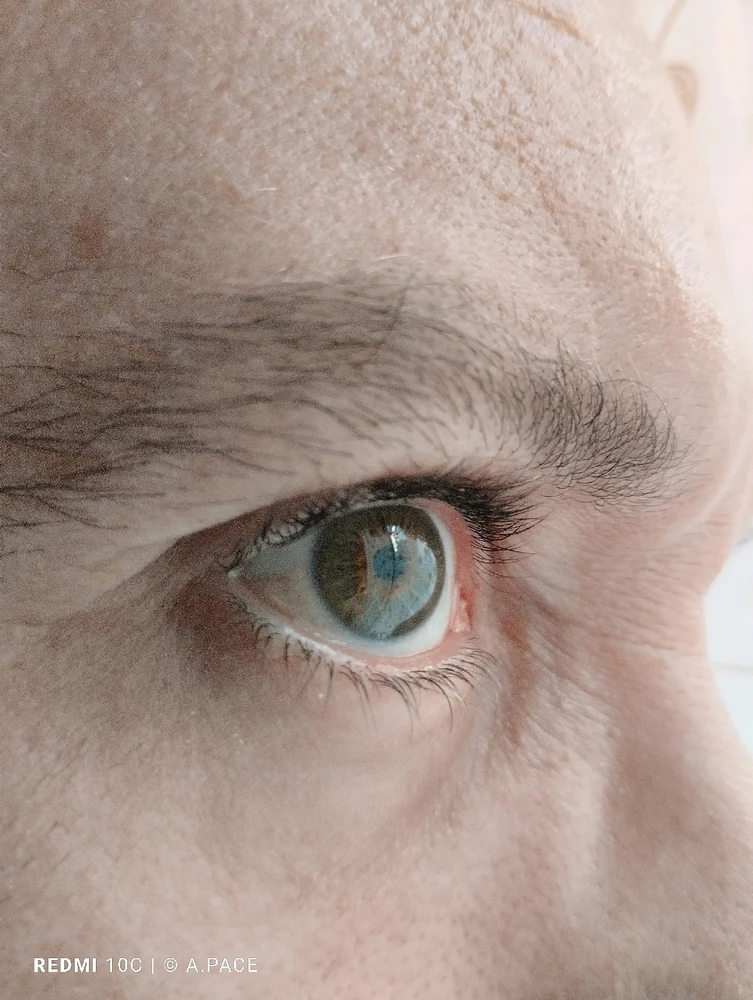 Immagine caricata da Alessandro | alpacigno