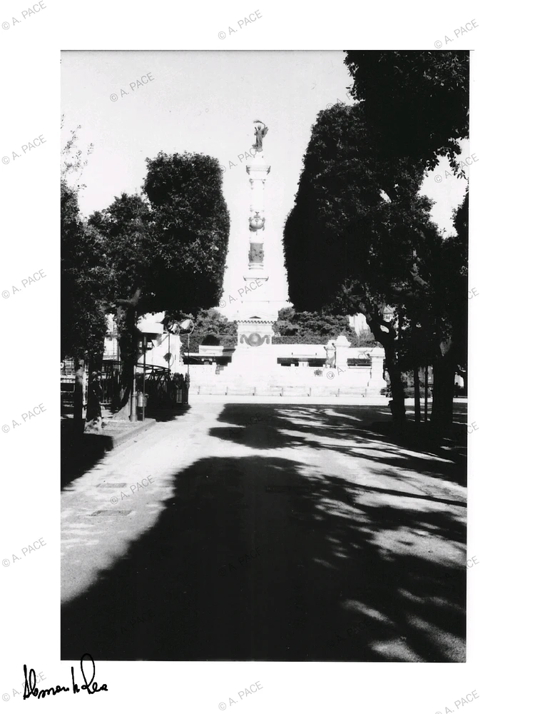 Immagine caricata da Alessandro | alpacigno