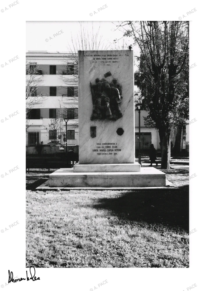 Immagine caricata da Alessandro | alpacigno