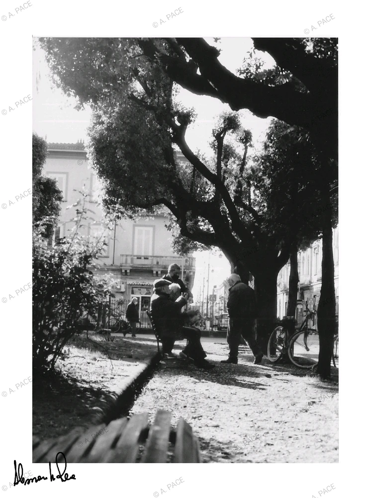 Immagine caricata da Alessandro | alpacigno