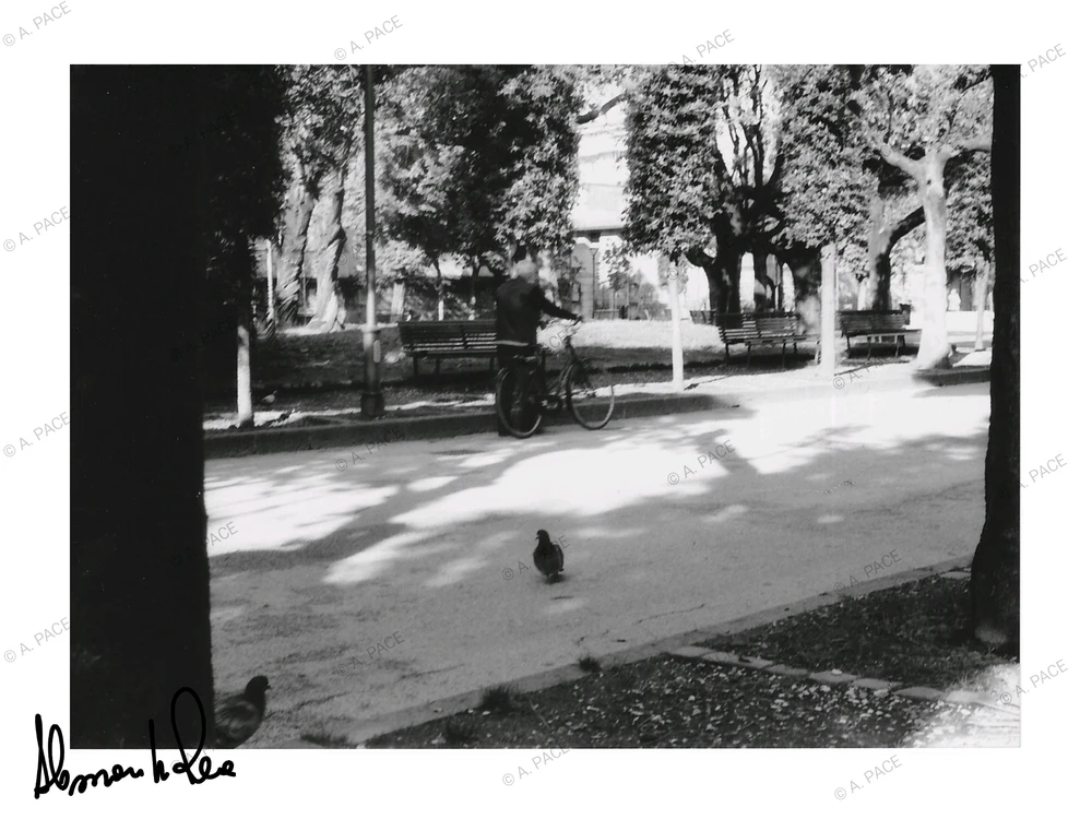 Immagine caricata da Alessandro | alpacigno