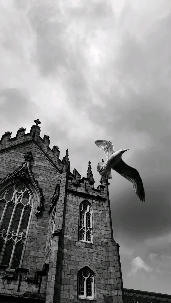 GIF caricata da Stefano