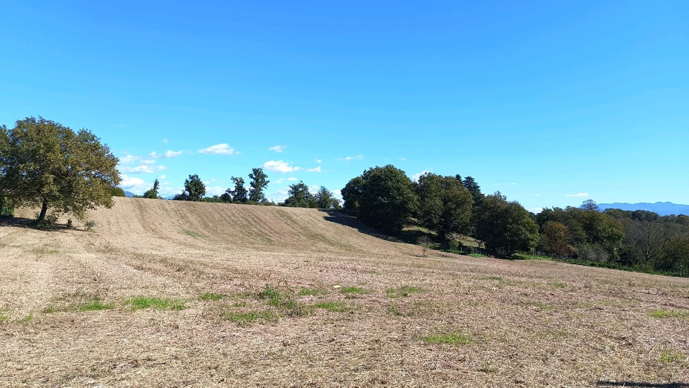 Immagine caricata da Tiziana