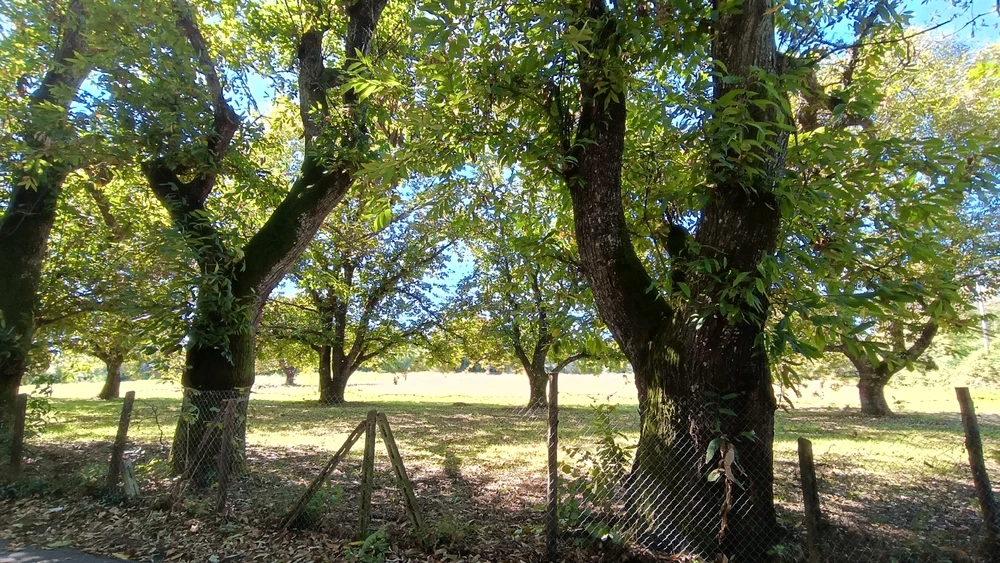 Immagine caricata da Tiziana