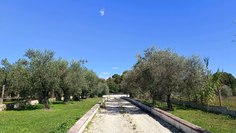 Immagine caricata da Tiziana