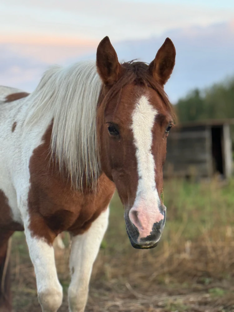 Image ajoutée par Luca