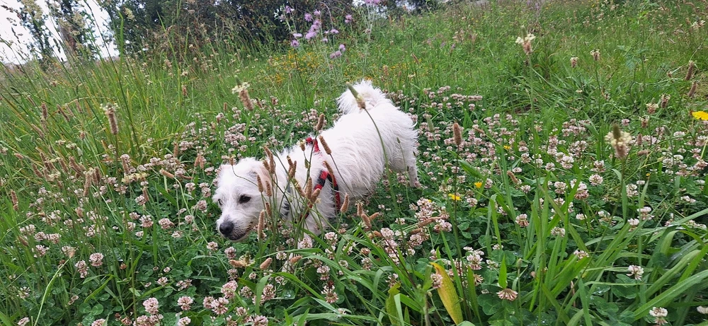 GIF subido por Tania