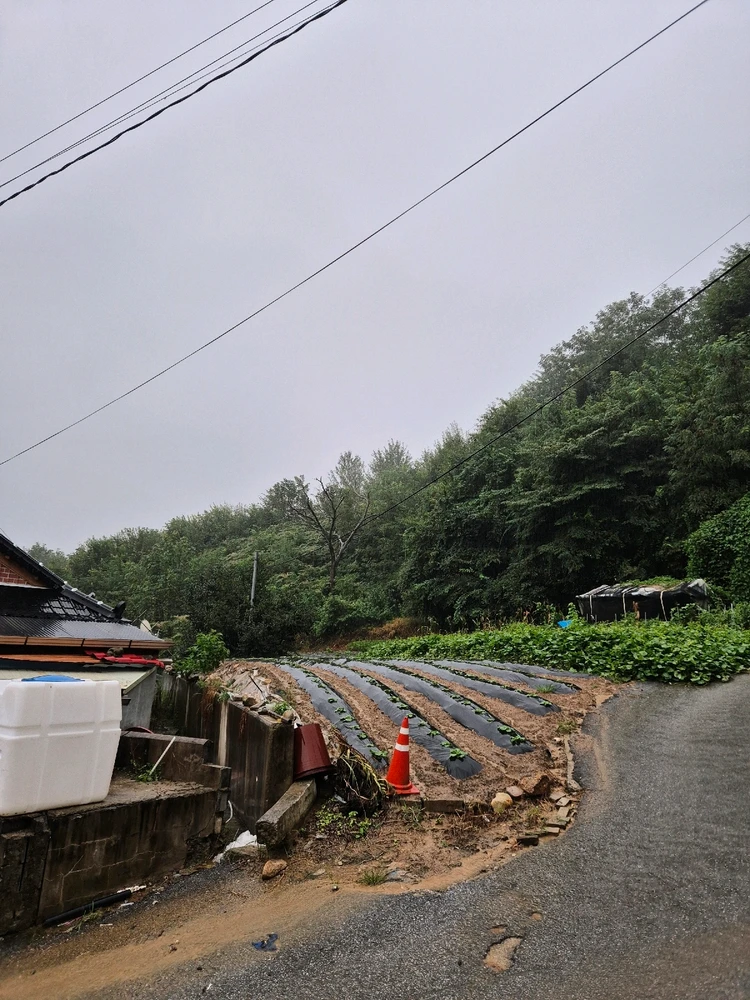 Image uploaded by Seh