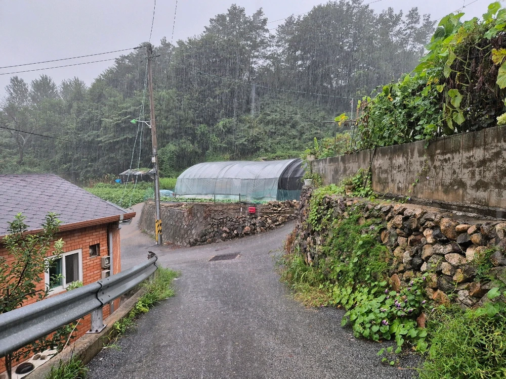 Image uploaded by Seh