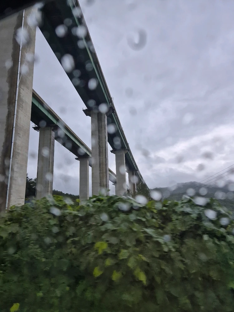 Image uploaded by Seh