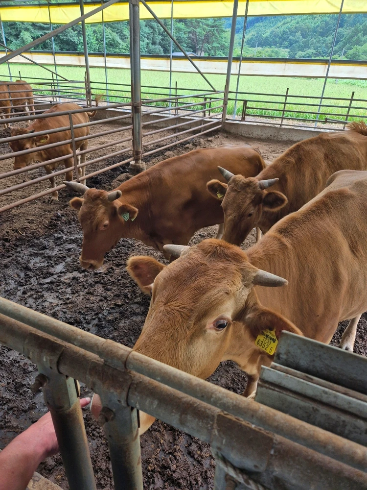 Image uploaded by Seh