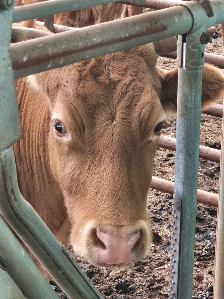 Image uploaded by Seh