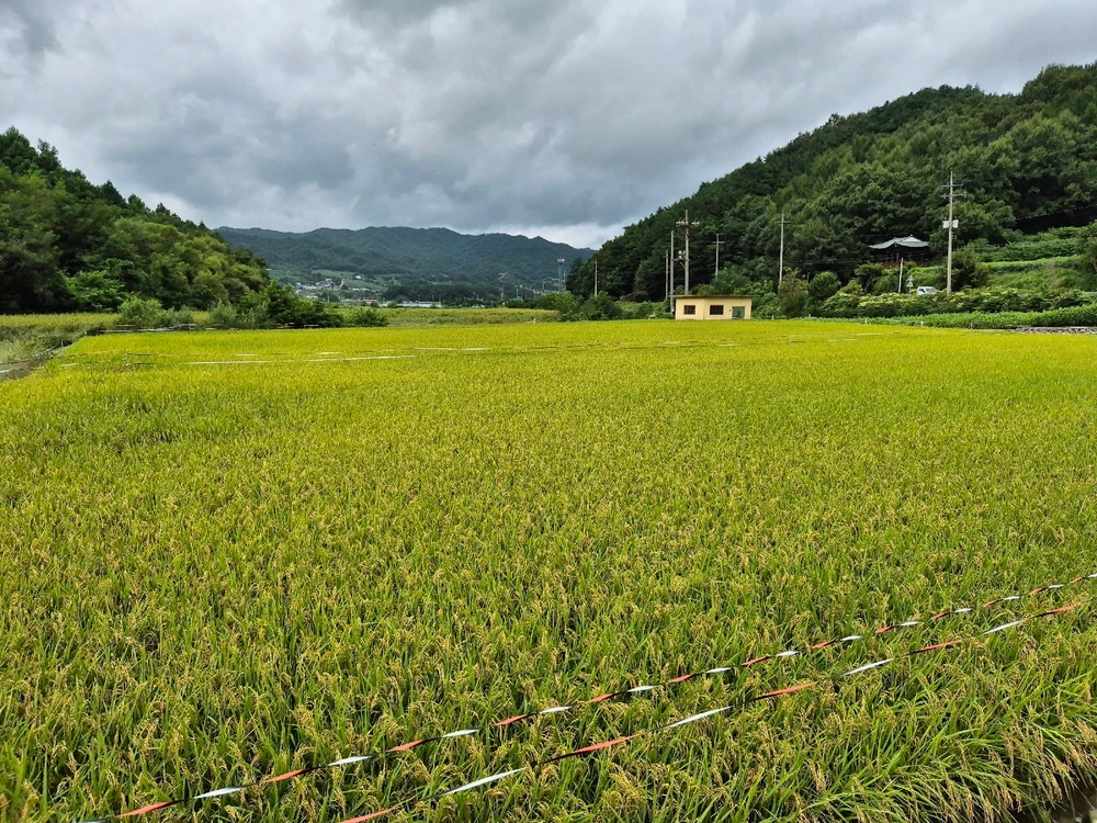 Image uploaded by Seh