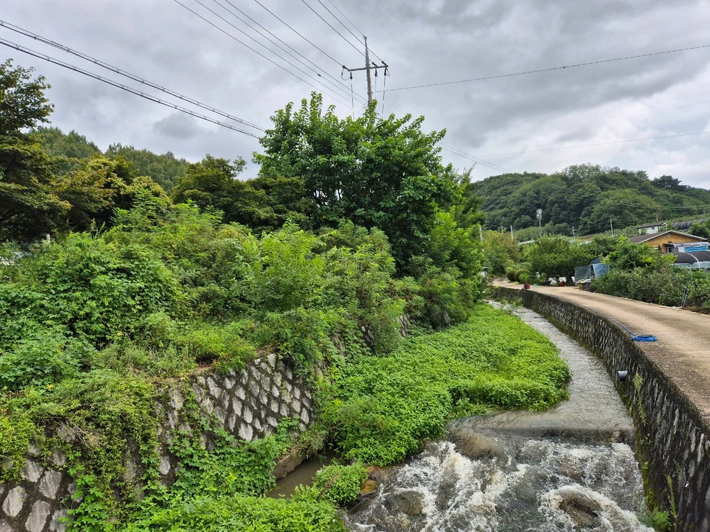 Image uploaded by Seh