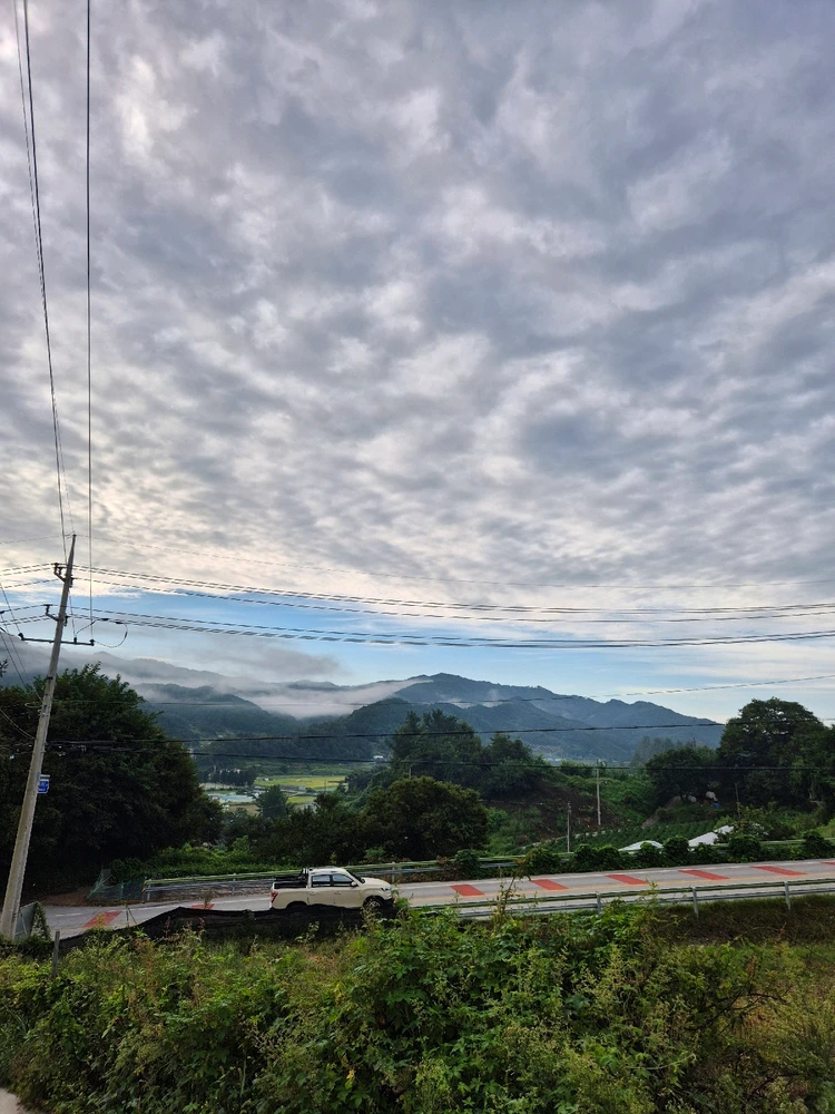 Image uploaded by Seh