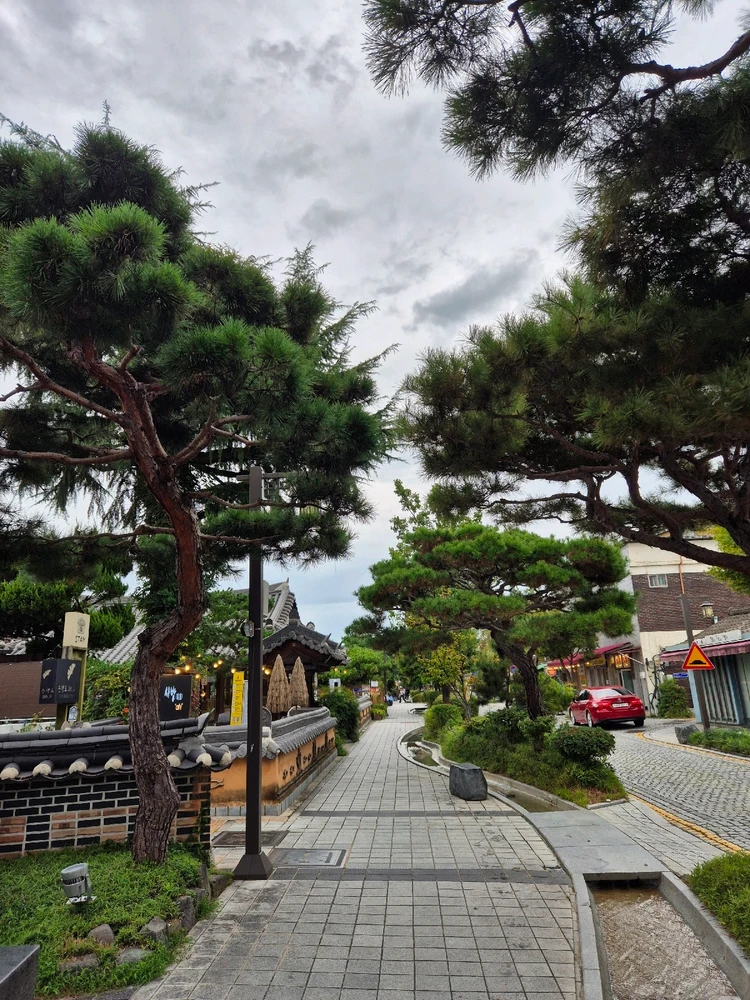 Image uploaded by Seh