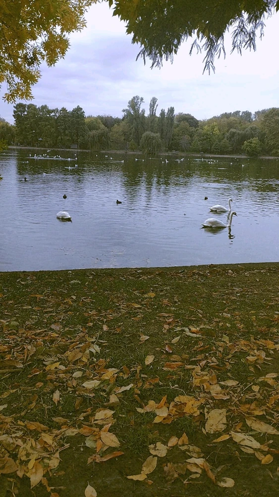 Imagine încărcată de Andrei