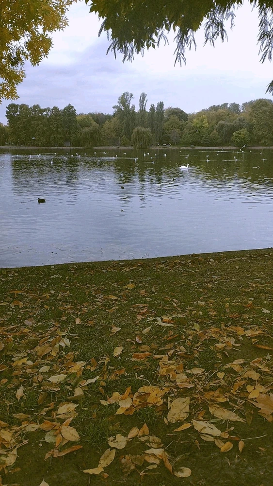 Imagine încărcată de Andrei